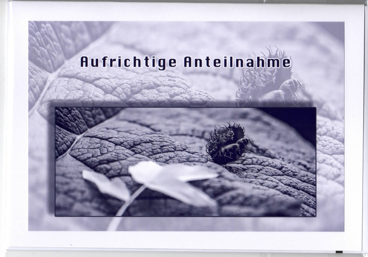 Fotokarte Trauer Frucht auf Blatt