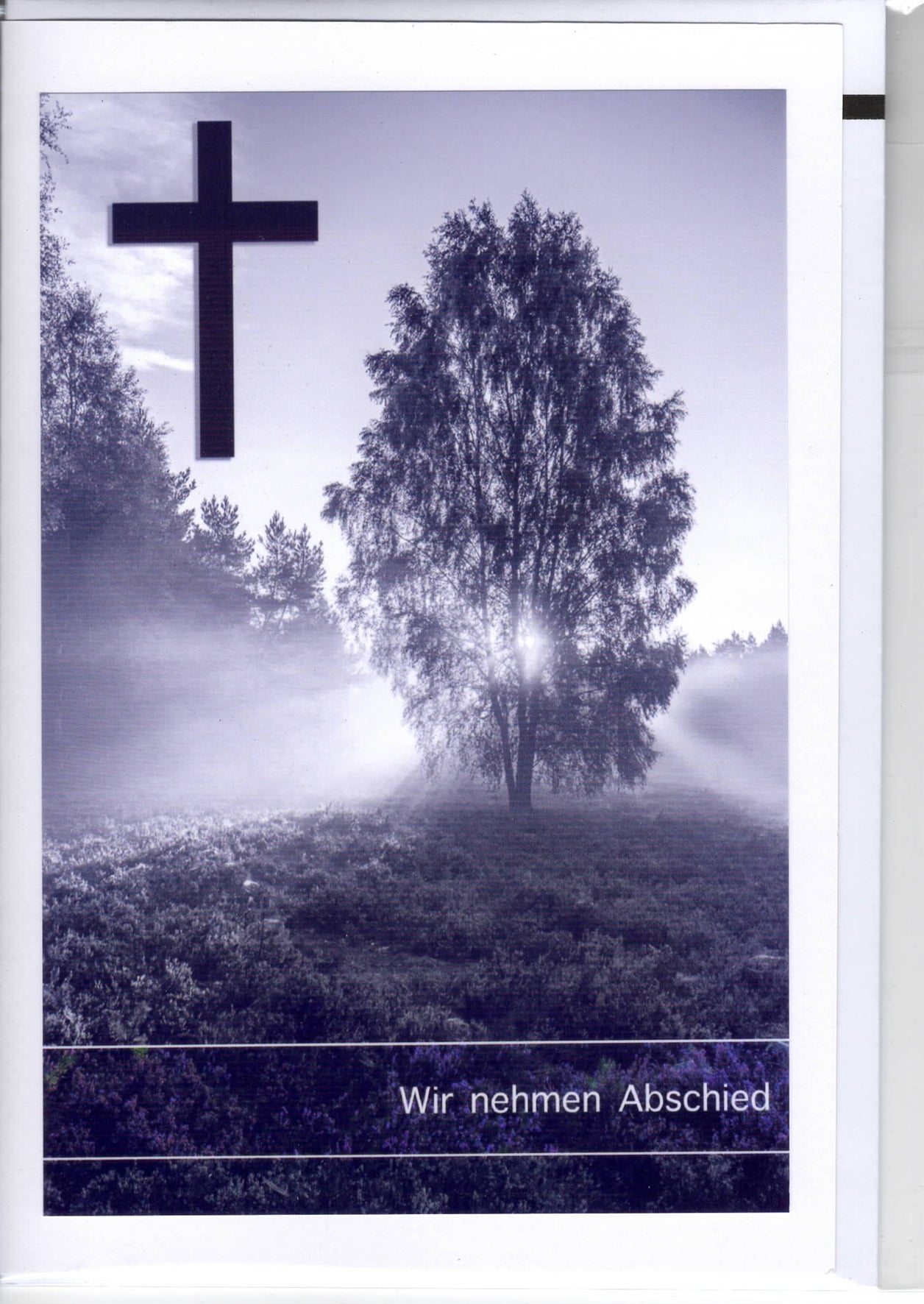 Fotokarte Trauer Kreuz Sonnenstrahlen durch Baum