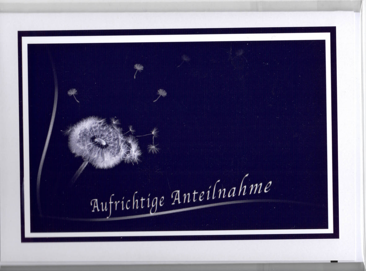 Fotokarte Trauer Pusteblume