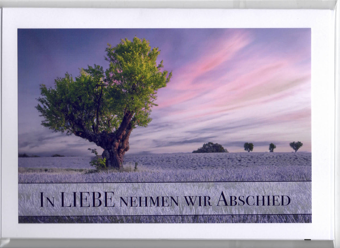 Fotokarte Trauer freistehender Baum