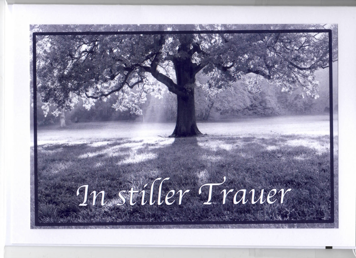 Fotokarte Trauer Baum auf Wiese