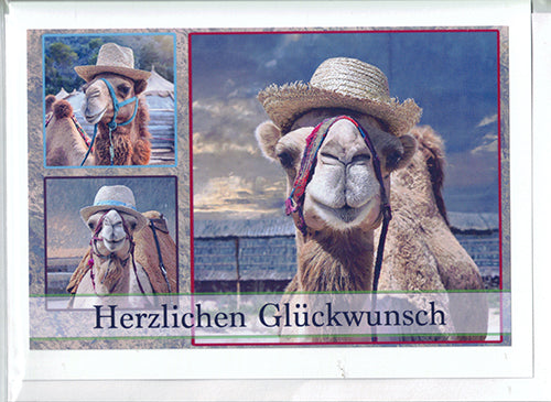 Fotokarte Herzlichen Glückwunsch Tiermotiv Kamel mit Hut