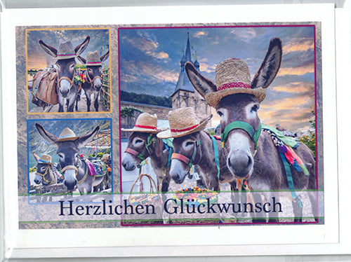 Fotokarte Herzlichen Glückwunsch Tiermotiv Esel mit Hut