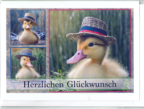 Fotokarte Herzlichen Glückwunsch Tiermotiv Kücken mit Hut