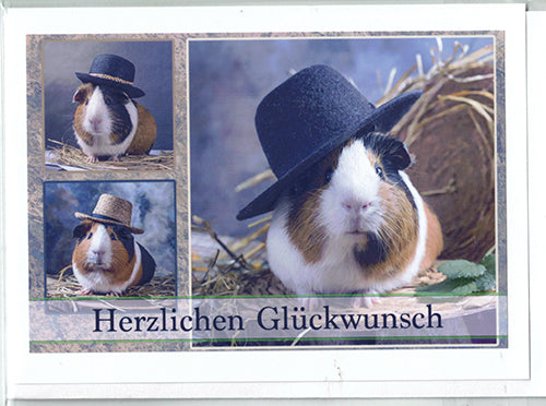 Fotokarte Herzlichen Glückwunsch Tiermotiv Meerschweinchen mit Hut