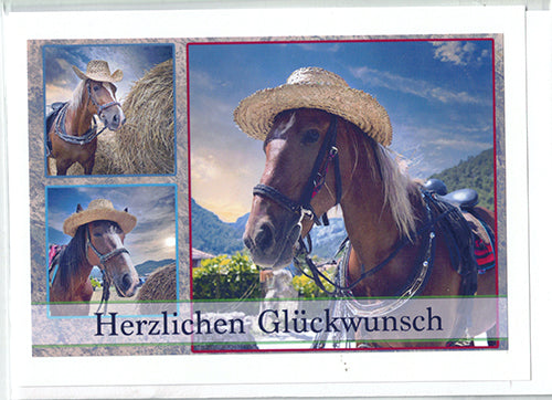 Fotokarte Herzlichen Glückwunsch Tiermotiv Pferd mit Hut