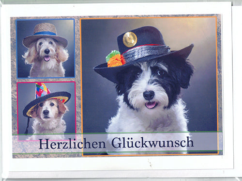 Fotokarte Herzlichen Glückwunsch Tiermotiv Hund mit Hut