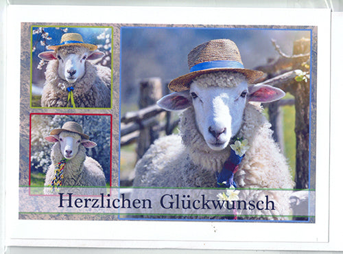 Fotokarte Herzlichen Glückwunsch Tiermotiv Schaf mit Hut