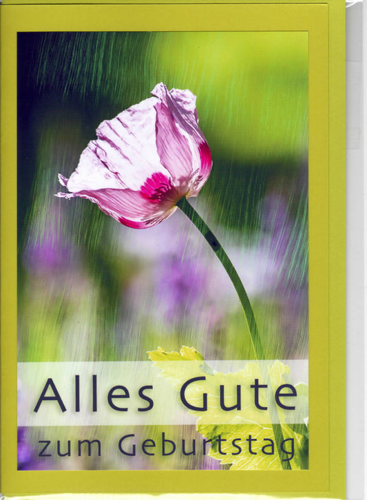 Fotokarte Alles gute zum Geburtstag