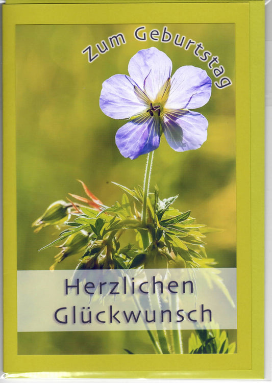 Fotokarte Herzlichen Glückwunsch