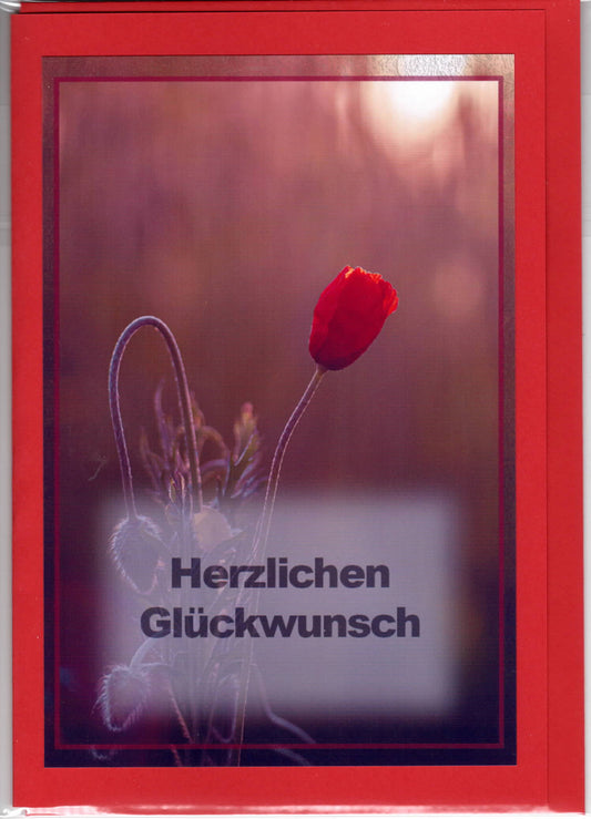 Fotokarte Herzlichen Glückwunsch