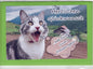 Fotokarte Herzlichen Glückwunsch