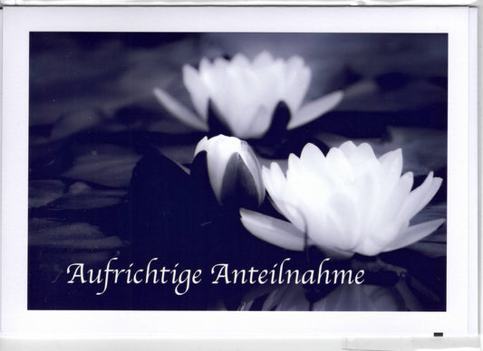 Fotokarte Trauer - Aufrichtige Anteilnahme