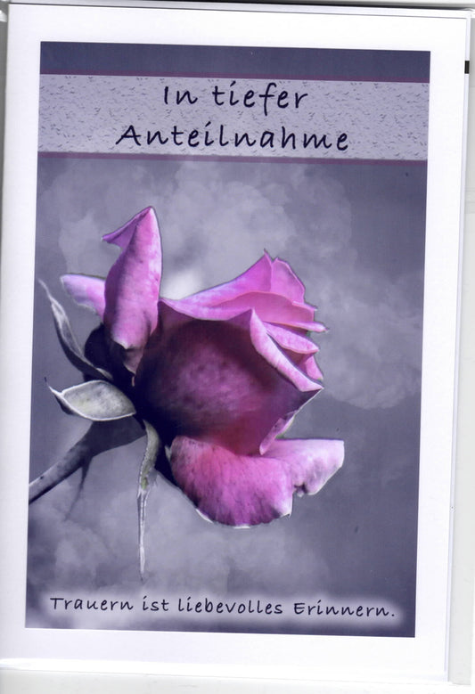 Fotokarte Trauer Rote Rosenblüte