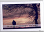 Fotokarte Trauer Sonnenuntergang Mann und Baum