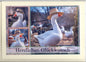 Fotokarte Herzlichen Glückwunsch Tiermotiv Gans mit Hut