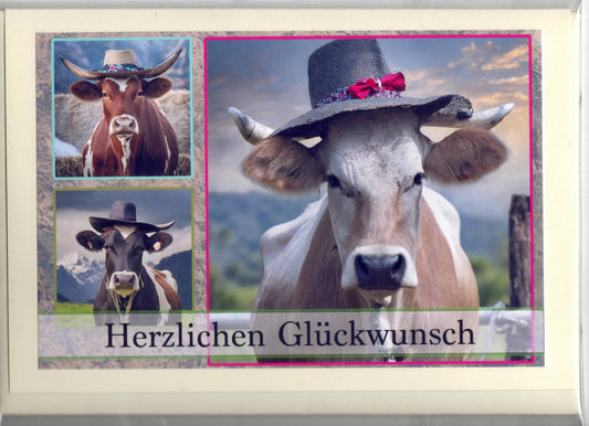 Fotokarte Herzlichen Glückwunsch Tiermotiv Kuh mit Hut